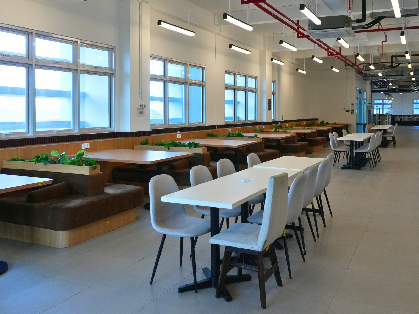 cowork5